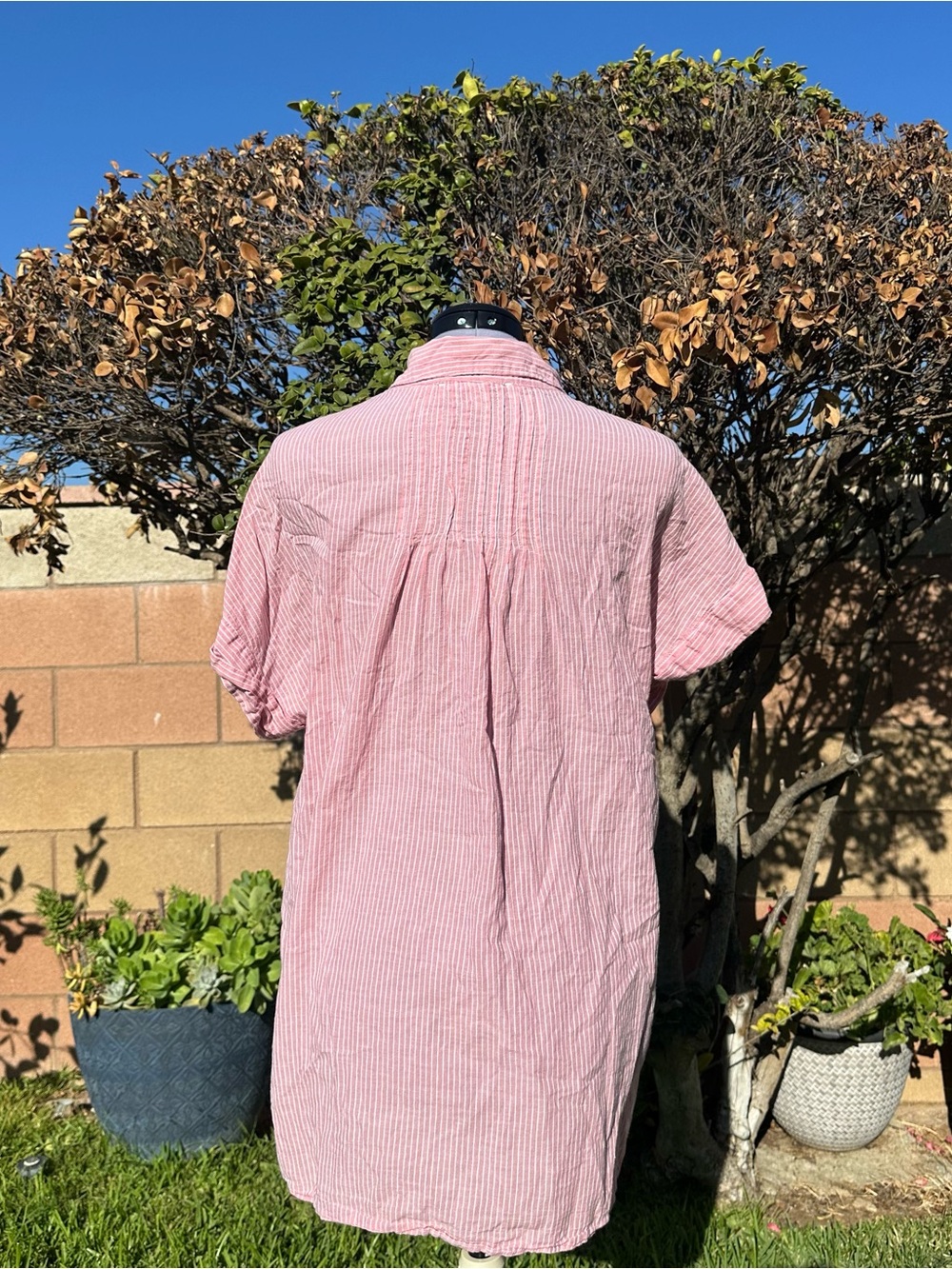 Women's Pink/Red Striped Short-Sleeve Button-Down Shirt Size Large - Picture 7 of 9